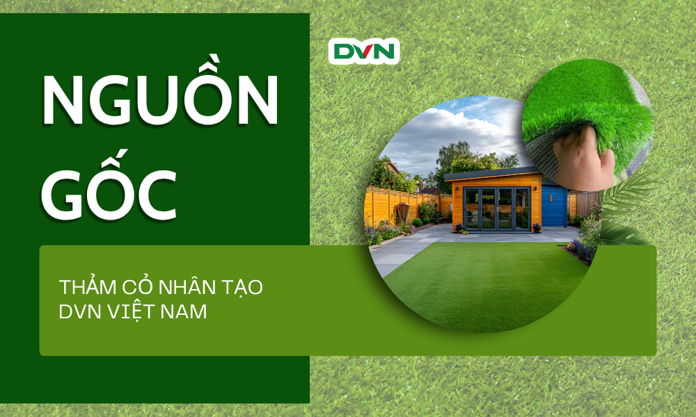Nguồn gốc thảm cỏ nhân tạo DVN