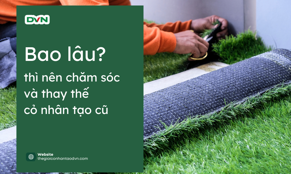 cỏ nhân tạo cũ